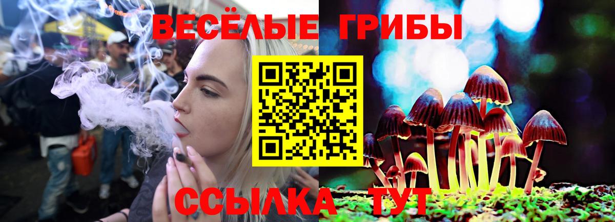Галлюциногенные грибы Cubensis Когалым